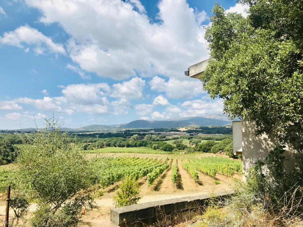 Elegant Country Open Space Deluxe Tenuta Piredu -Monti-Olbia Екстериор снимка