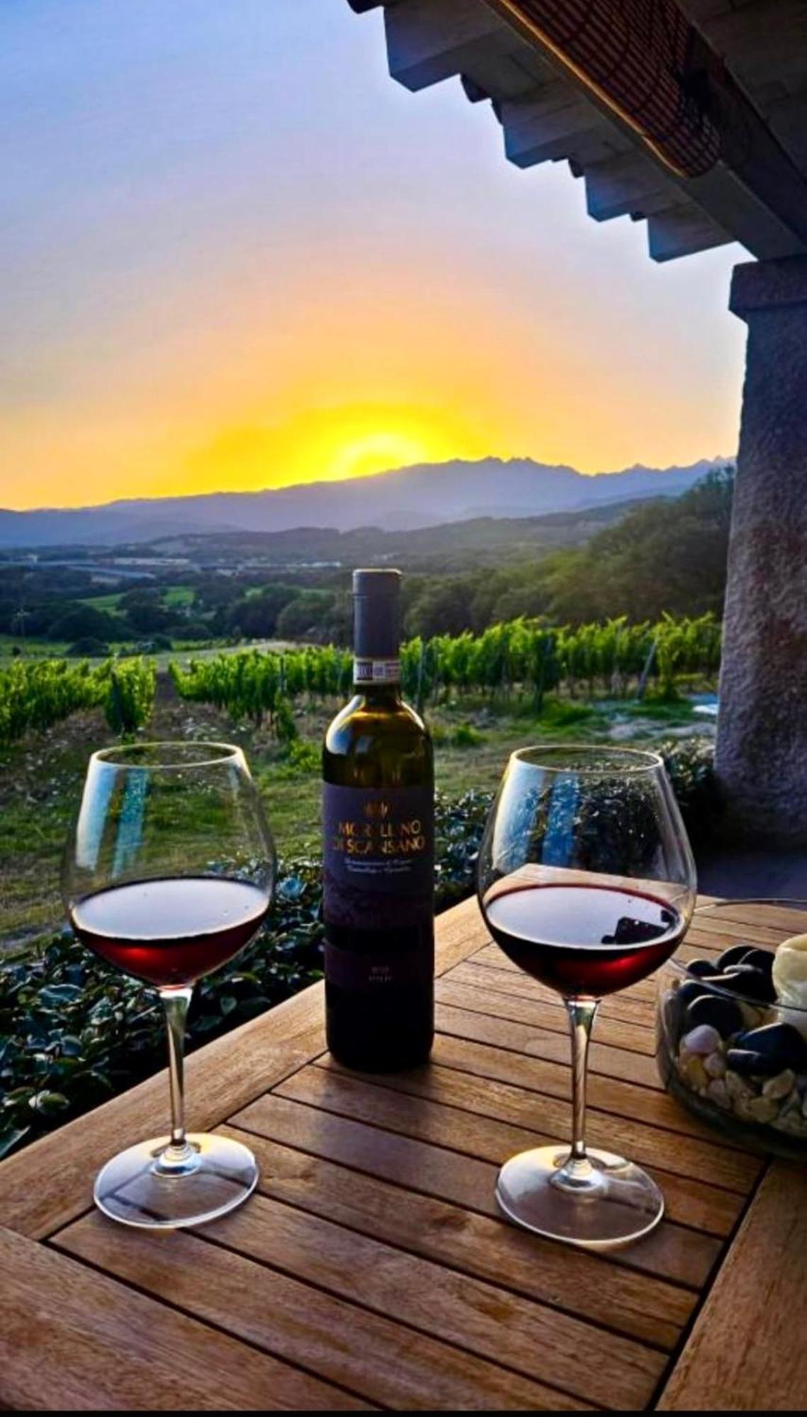 Elegant Country Open Space Deluxe Tenuta Piredu -Monti-Olbia Екстериор снимка